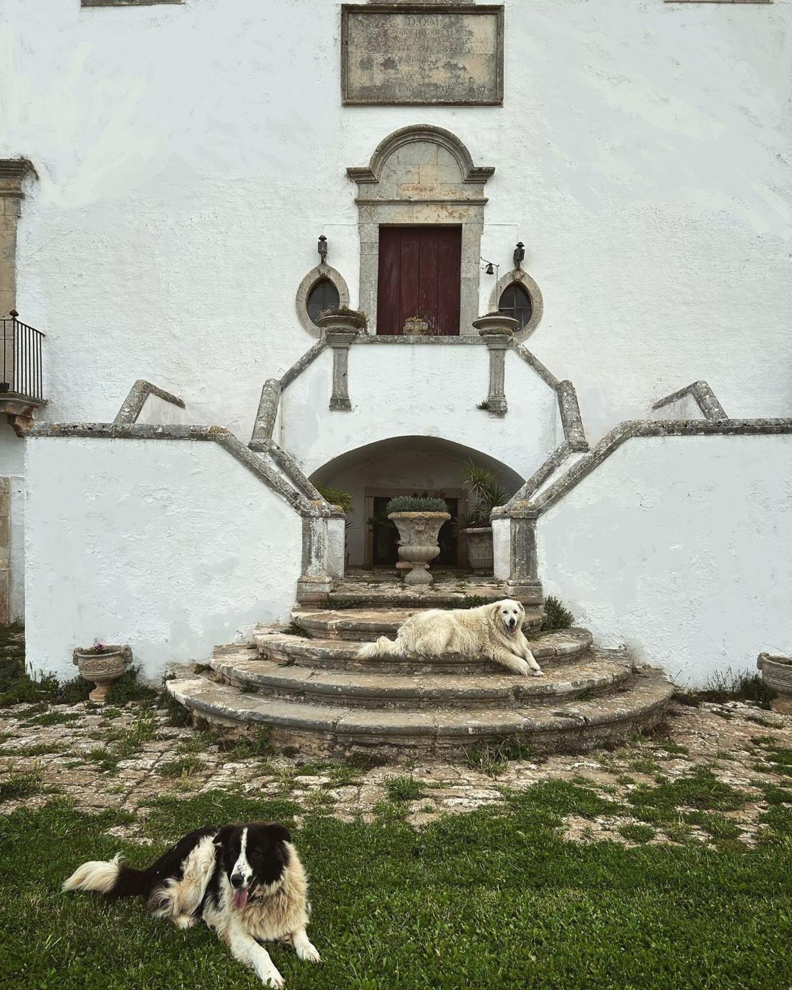 נוצ'י Masseria Murgia Albanese מראה חיצוני תמונה