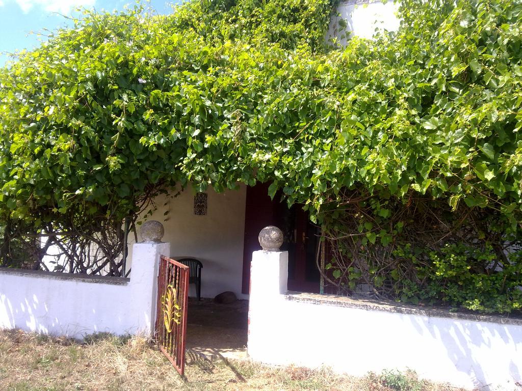 נוצ'י Masseria Murgia Albanese מראה חיצוני תמונה
