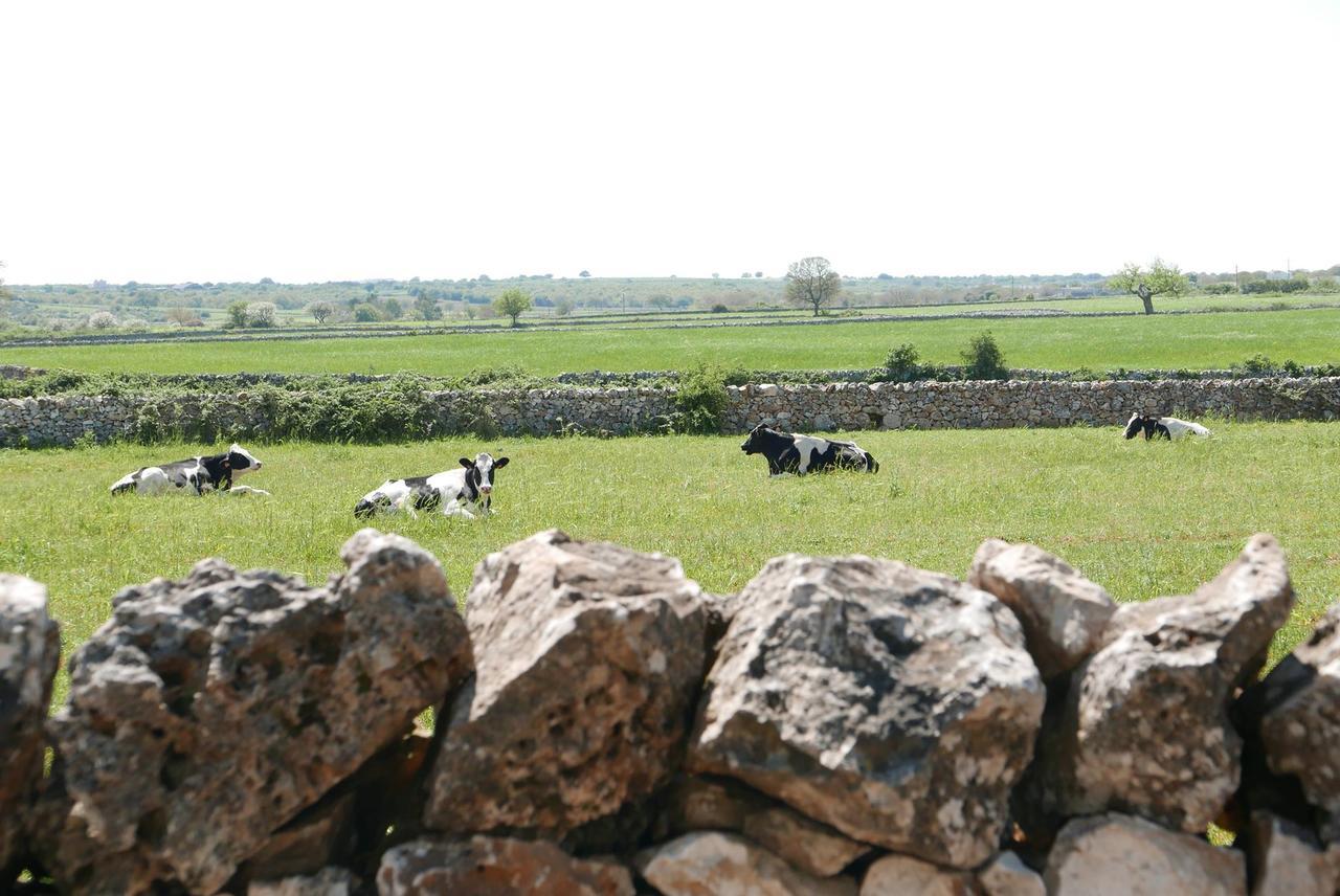 נוצ'י Masseria Murgia Albanese מראה חיצוני תמונה
