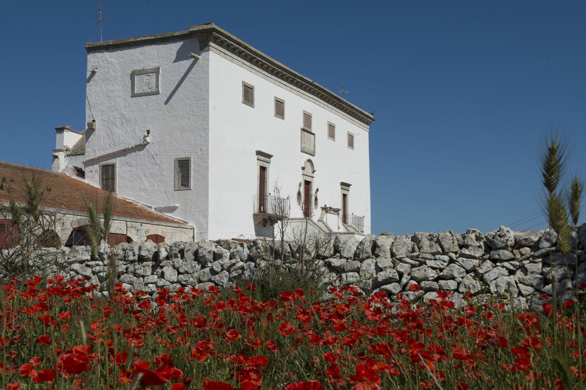 נוצ'י Masseria Murgia Albanese מראה חיצוני תמונה